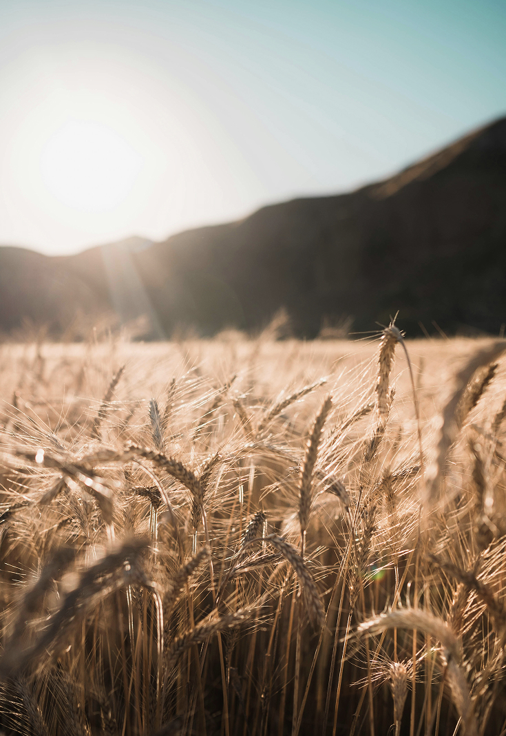 Lorem ipsum dolor <br />sit amet, consectet.